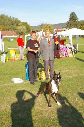 www.boxer-show.eu